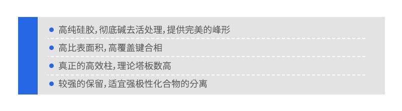 BETASIL填料分析柱特點