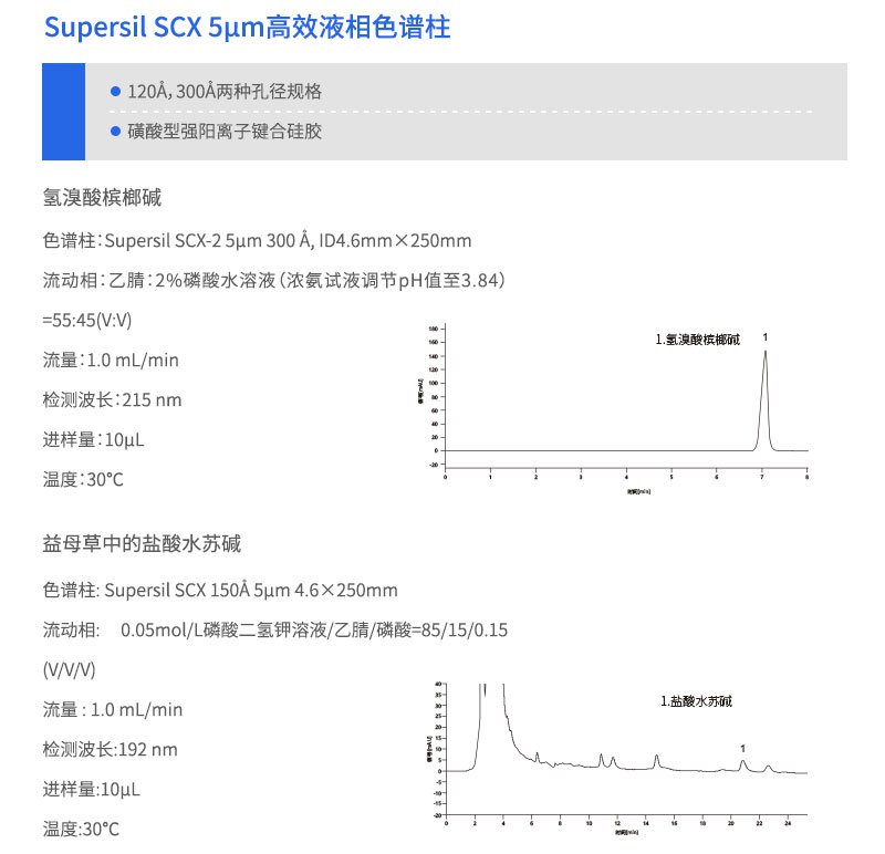 Supersil SCX 高效液相色譜柱