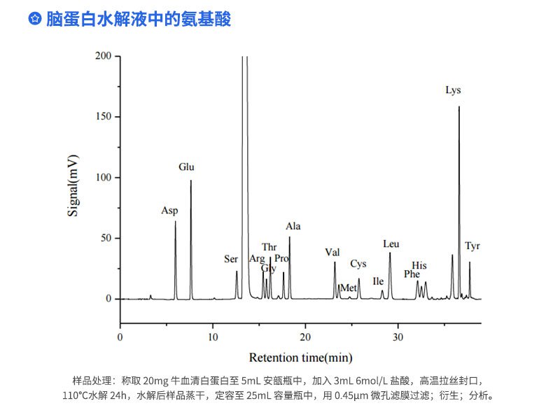腦蛋白水解液中的氨基酸